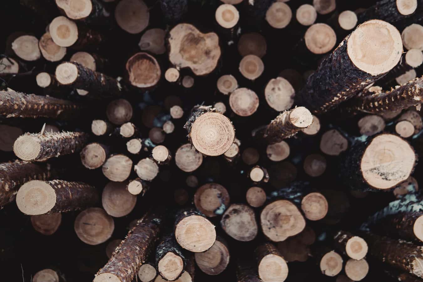 Go Logger - Why we wrote our own